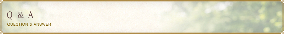 Q&A